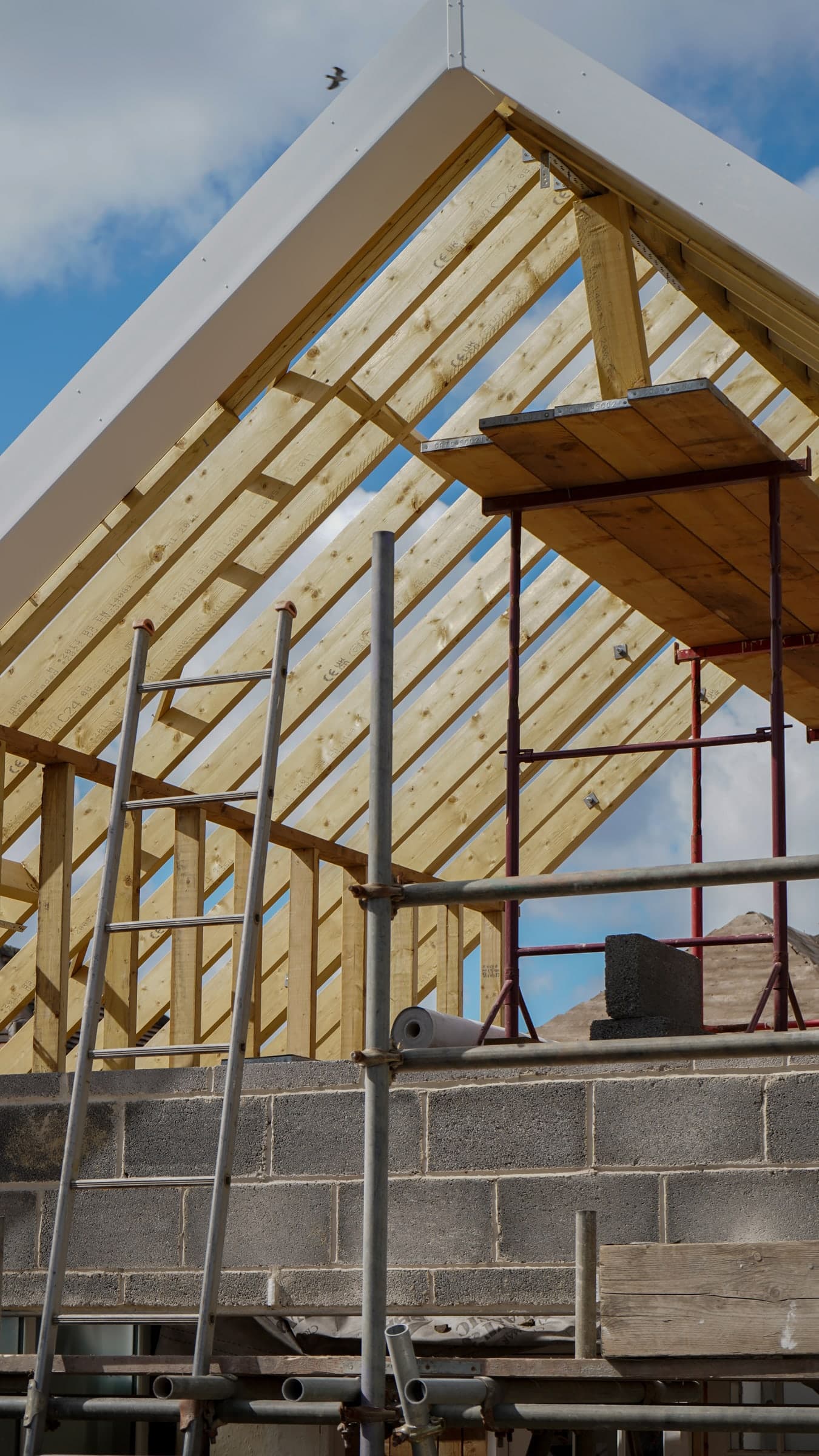 FLEX Building Co. project photo 18